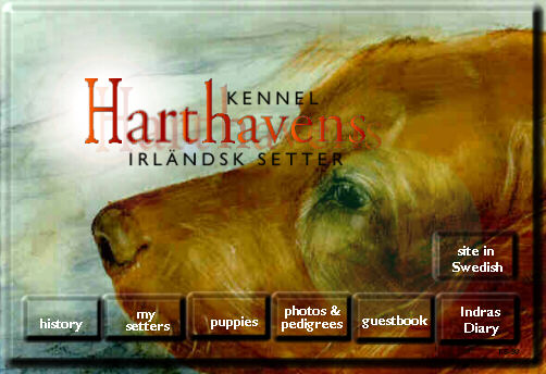 Welcome to Kennel Harthavens hompage!